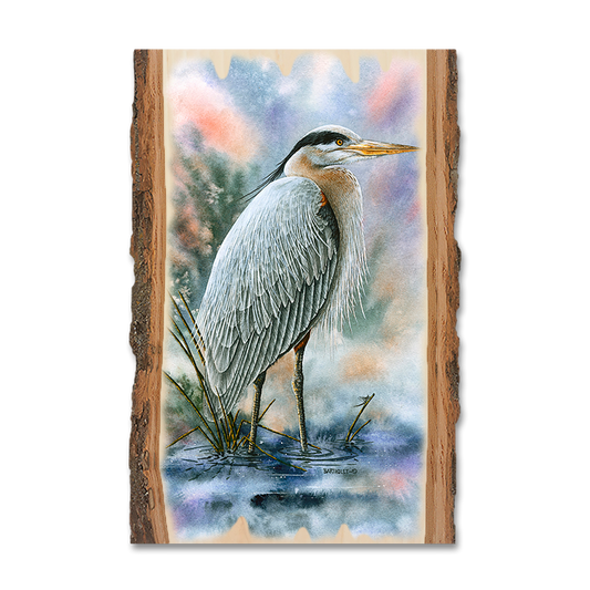 Magnet: Live Edge - Bartholet's Marsh Master