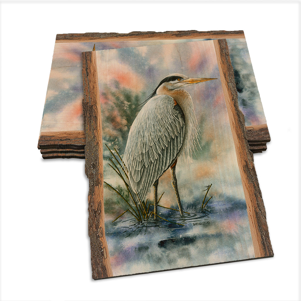 Bartholet's Marsh Master  - Live Edge Live Edge Postcard (5pk // $2.80ea)