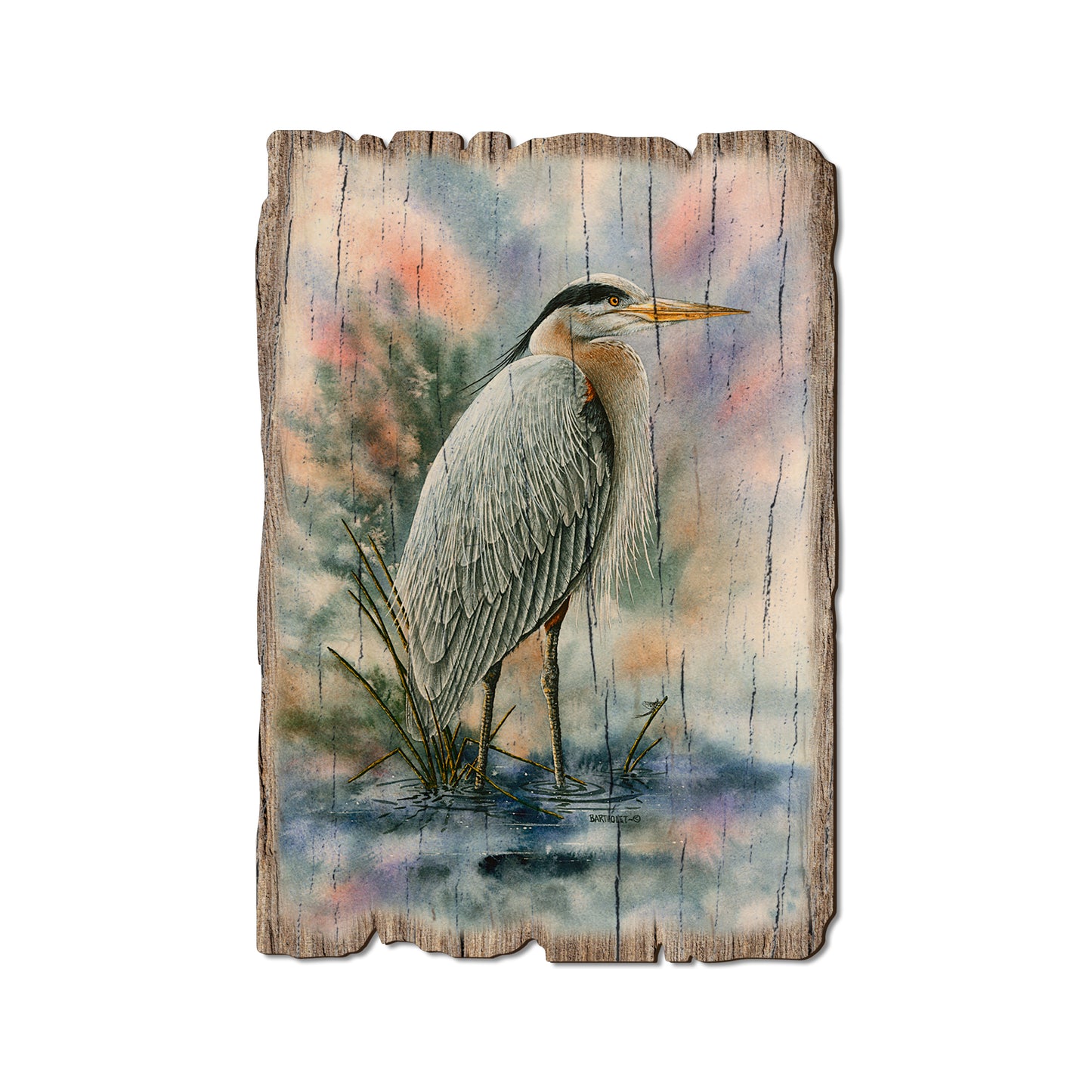 Bartholet's Marsh Master - Rustic Edge Postcards & Magnets Rustic Edge Postcard (5pk // $2.80ea)