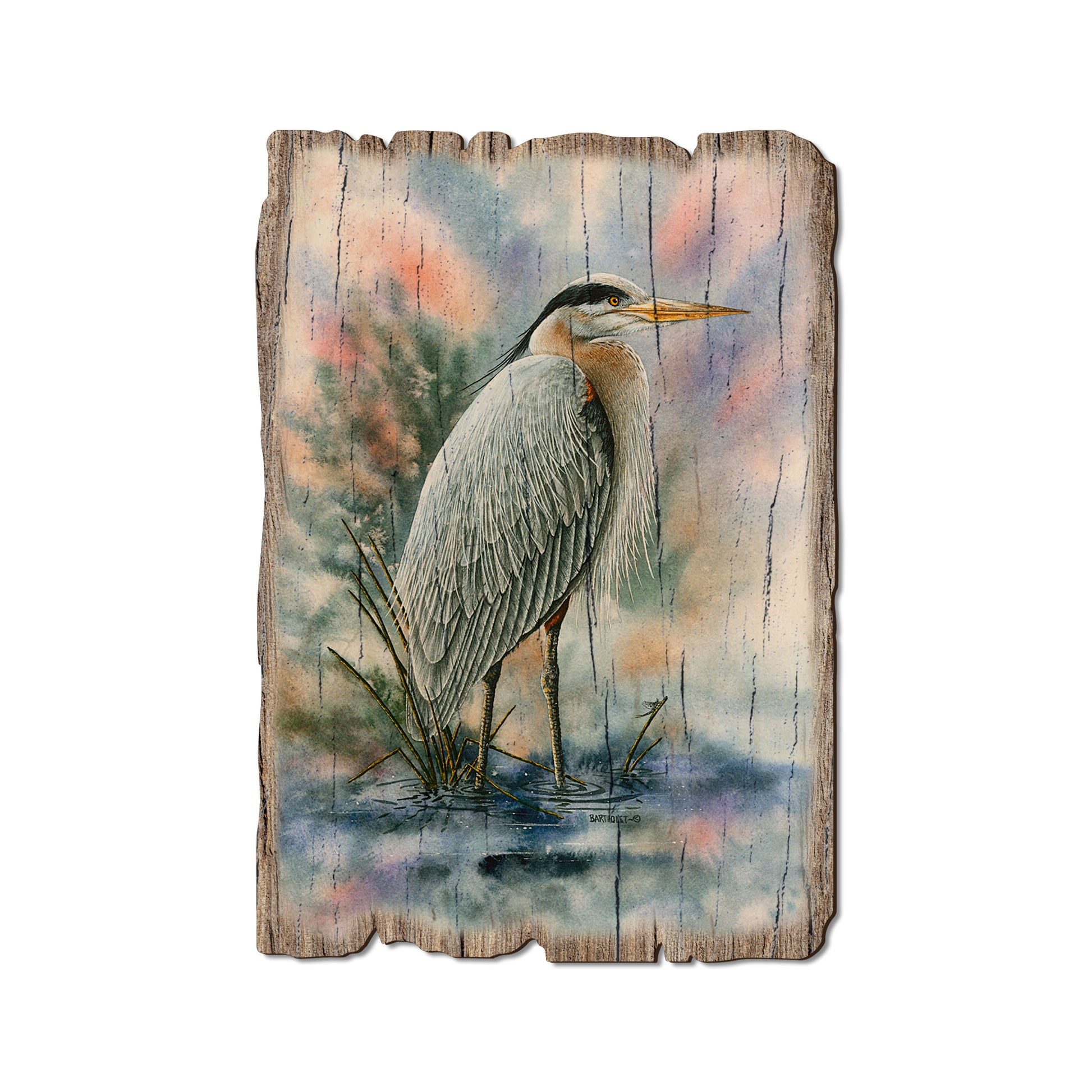 Bartholet's Marsh Master - Rustic Edge Postcards & Magnets Rustic Edge Postcard (5pk // $2.80ea)
