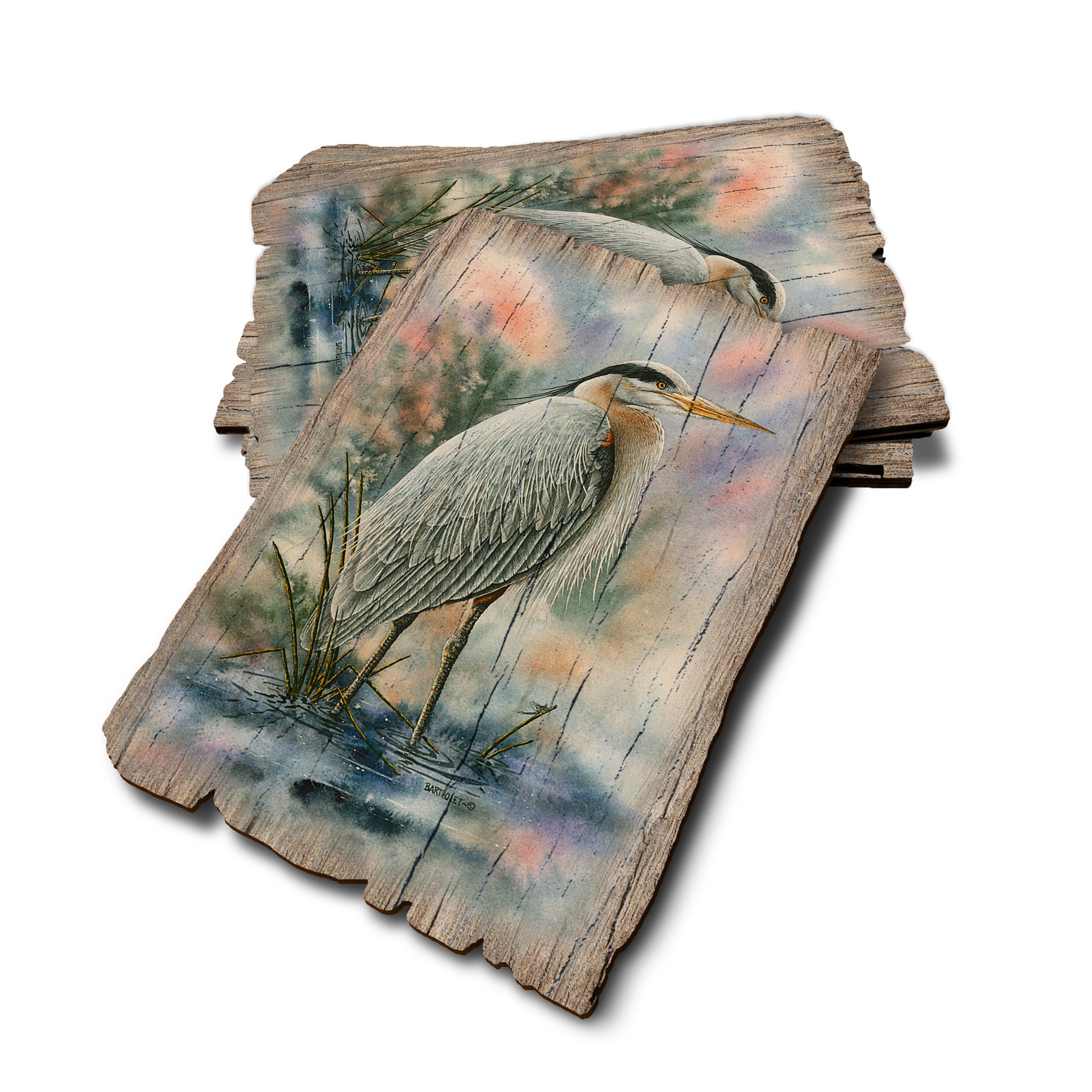 Bartholet's Marsh Master - Weathered Edge Rustic Edge Postcard (5pk // $2.80ea)
