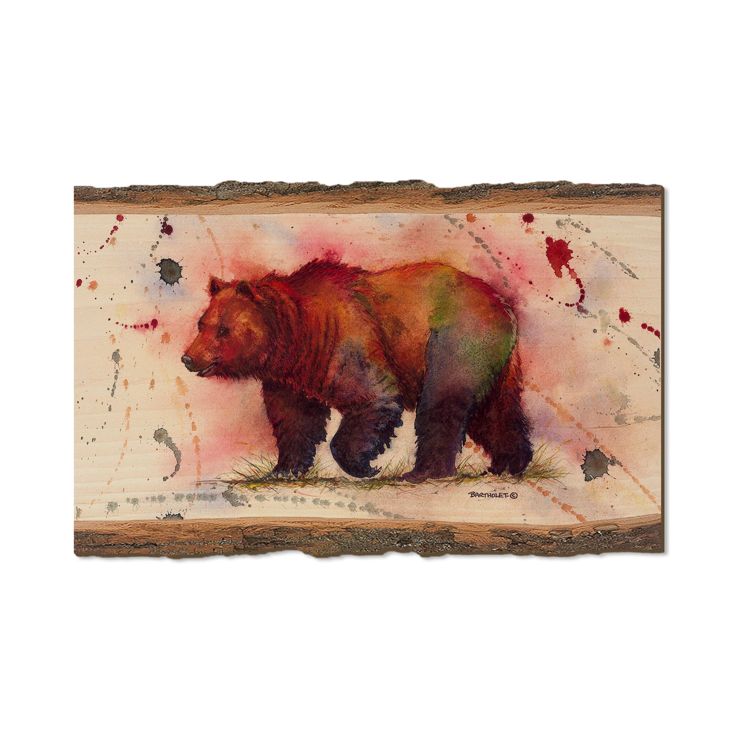 Bartholet's Mr. Grizzly  - Live Edge Live Edge Magnet (5pk // $2.80ea)