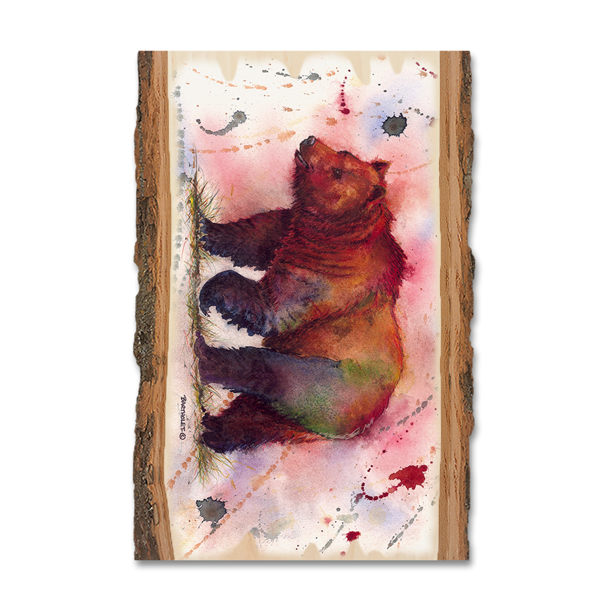 Magnet: Live Edge - Bartholet's Mr. Grizzly