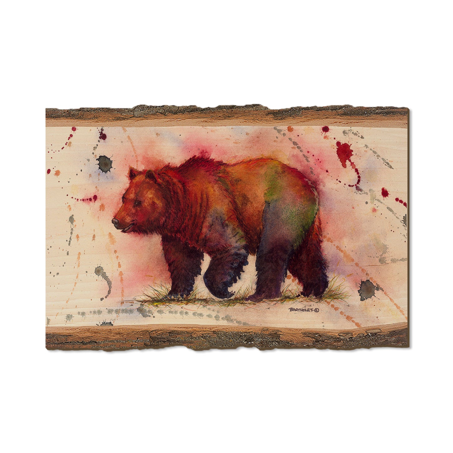 Bartholet's Mr. Grizzly  - Live Edge Live Edge Postcard (5pk // $2.80ea)