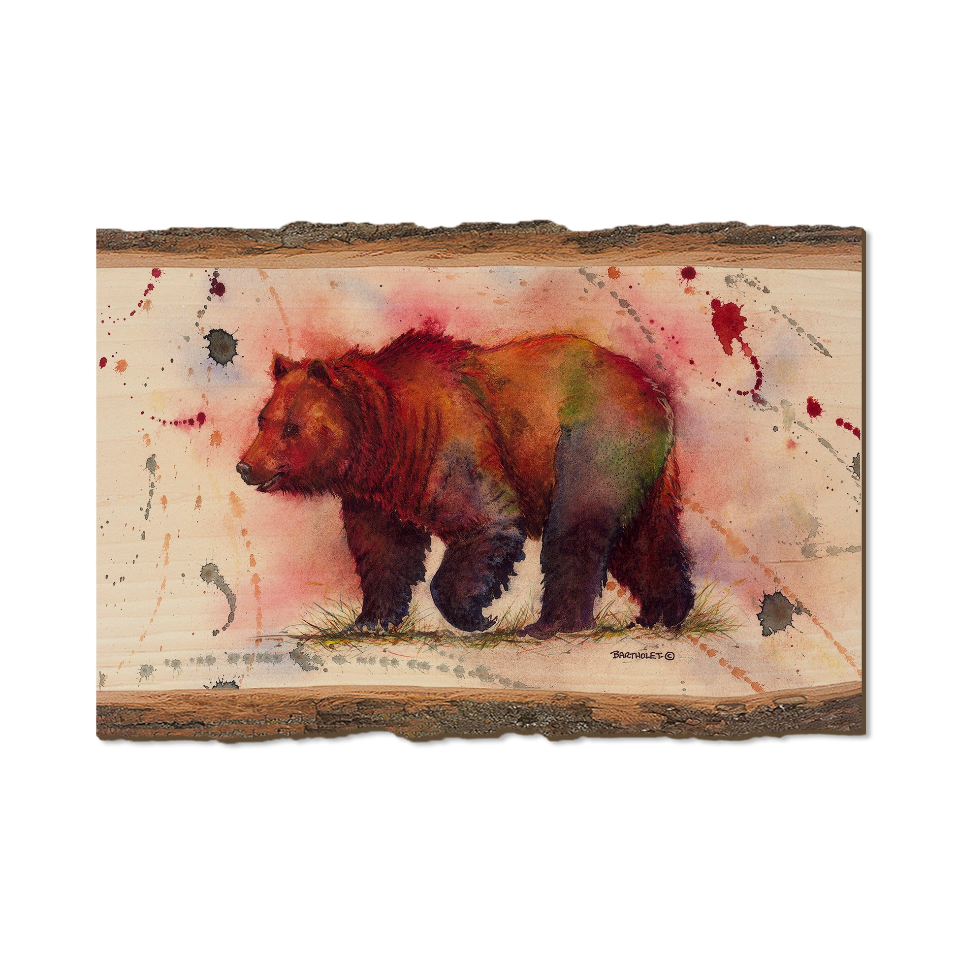 Bartholet's Mr. Grizzly  - Live Edge Live Edge Postcard (5pk // $2.80ea)