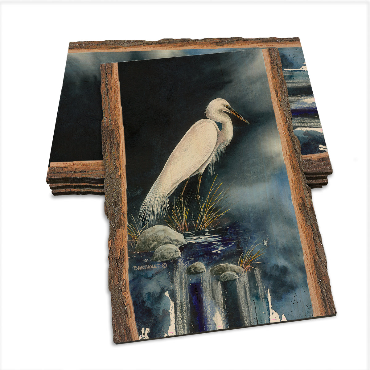 Bartholet's Midnight Snack  - Live Edge Live Edge Postcard (5pk // $2.80ea)