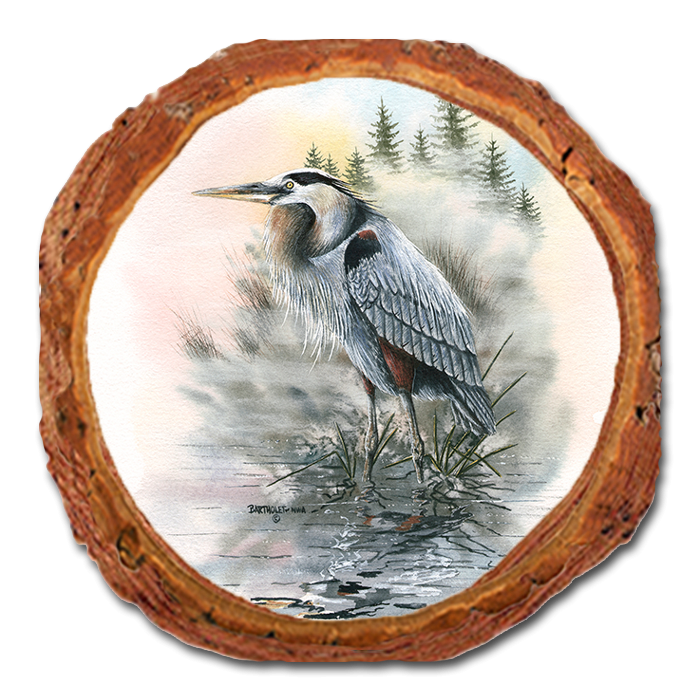 Coaster: Live Edge - Bartholet's Morning Watch (Pack of 5)