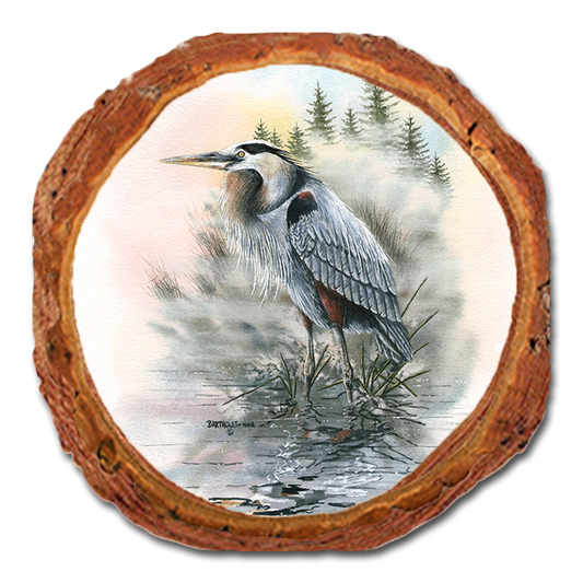 Coaster: Live Edge - Bartholet's Morning Watch (Pack of 5)