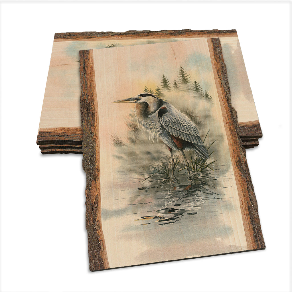 Bartholet's Morning Watch  - Live Edge Live Edge Postcard (5pk // $2.80ea)