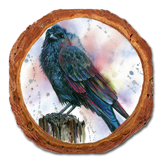 Coaster: Live Edge - Bartholet's Nevermore (Pack of 5)