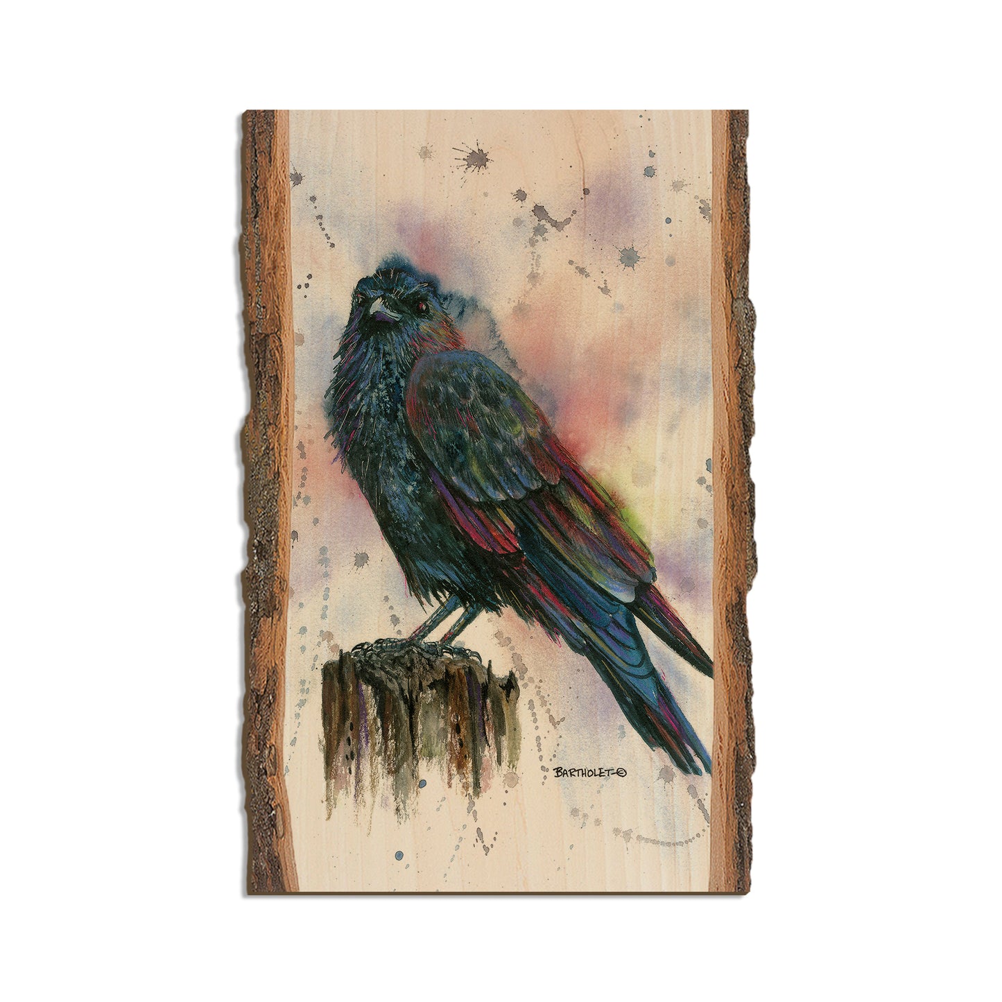 Bartholet's Nevermore  - Live Edge Live Edge Magnet (5pk // $2.80ea)