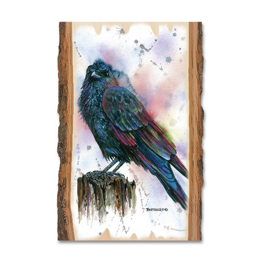 Magnet: Live Edge - Bartholet's Nevermore