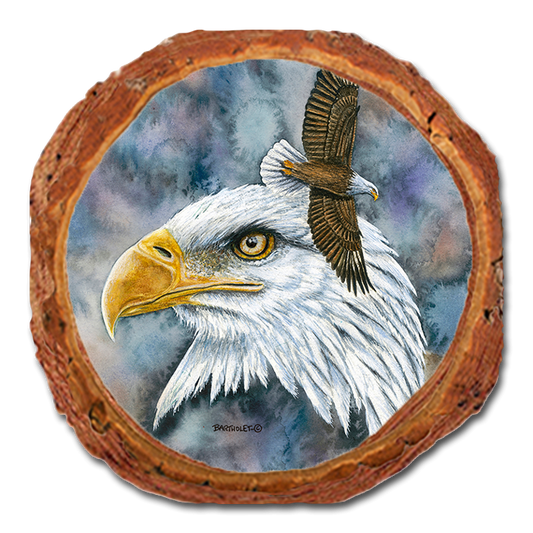 Coaster: Live Edge - Bartholet's Nobility (Pack of 5)