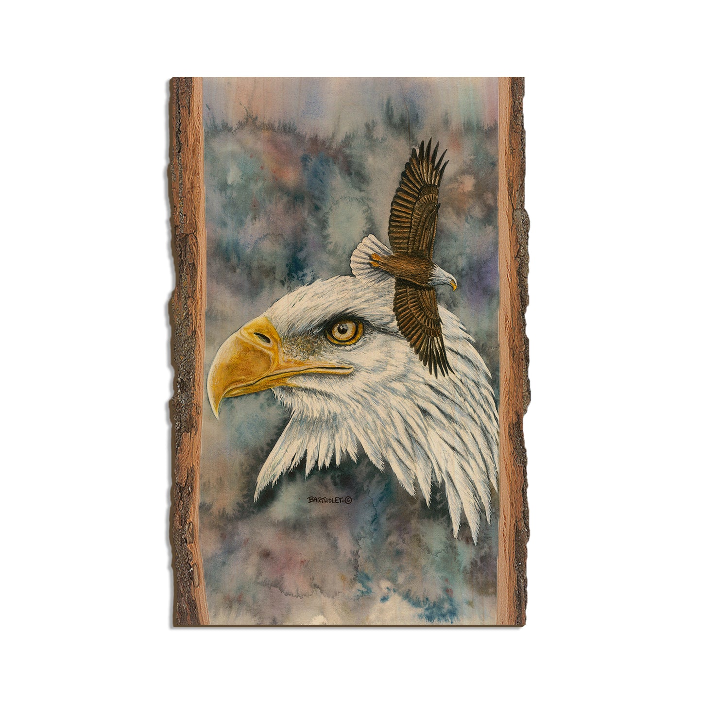 Bartholet's Nobility  - Live Edge Live Edge Magnet (5pk // $2.80ea)