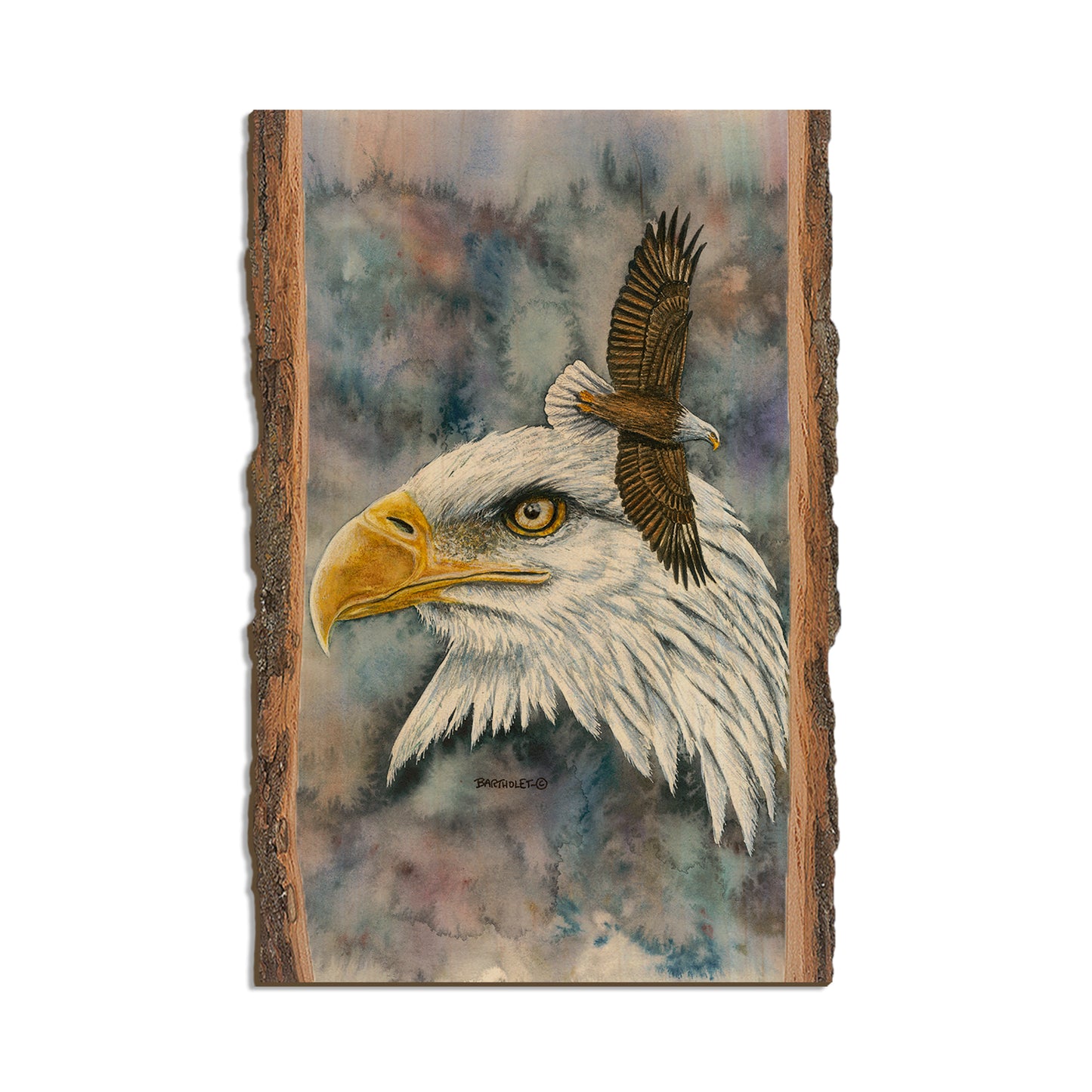 Bartholet's Nobility  - Live Edge Live Edge Postcard (5pk // $2.80ea)