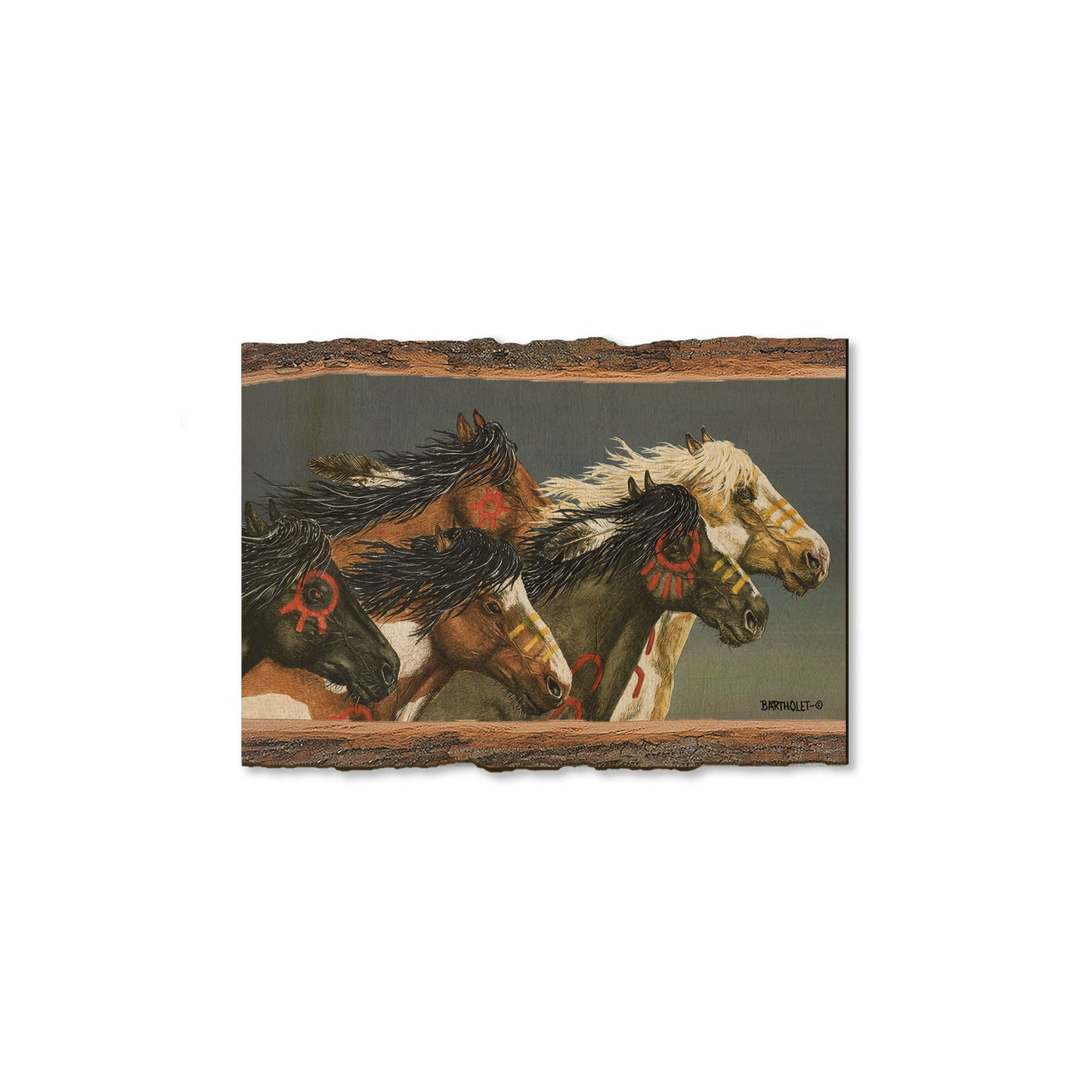 Bartholet's Night Raid  - Live Edge Live Edge Postcard (5pk // $2.80ea)