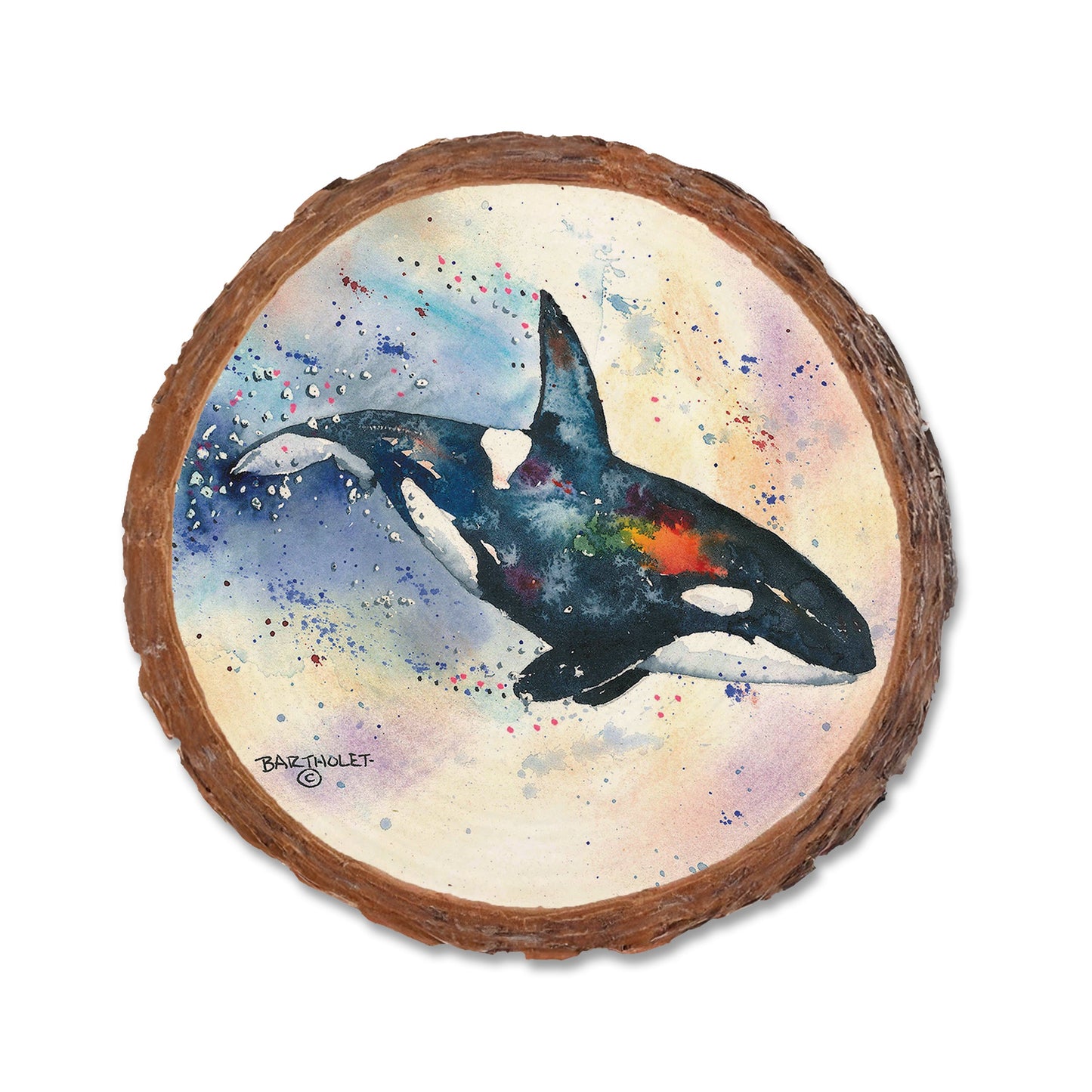 Bartholet's Orca  - Live Edge Live Edge Coaster (5pk // $2.80ea)