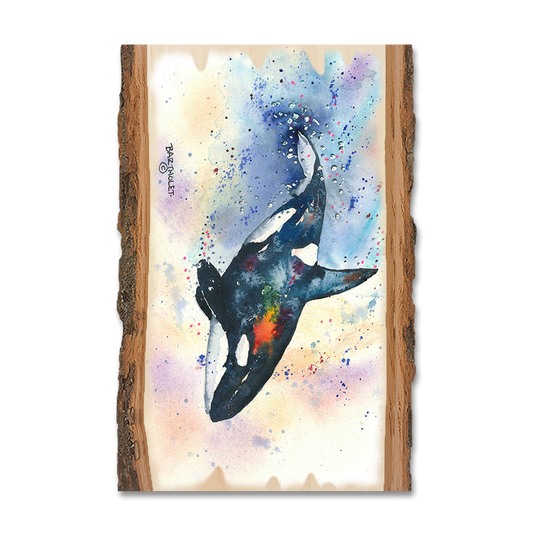 Magnet: Live Edge - Bartholet's Orca