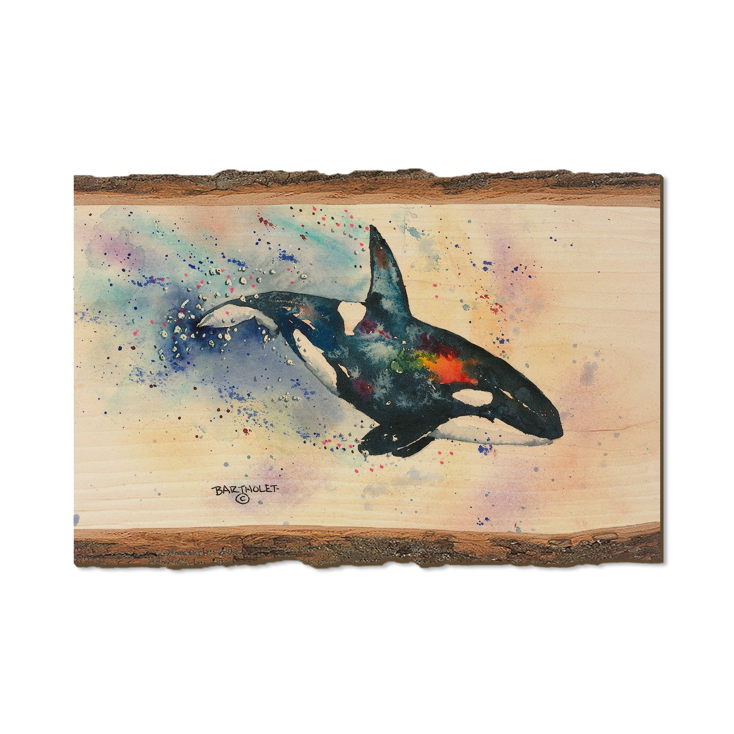 Bartholet's Orca  - Live Edge Live Edge Postcard (5pk // $2.80ea)
