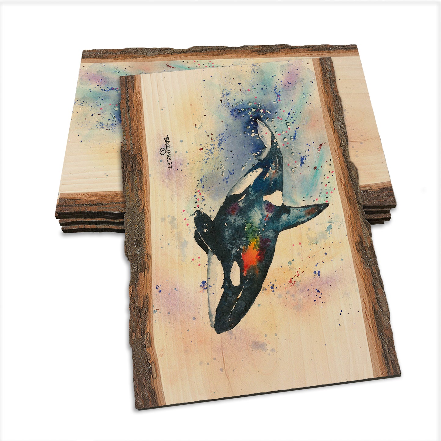 Bartholet's Orca  - Live Edge Live Edge Postcard (5pk // $2.80ea)
