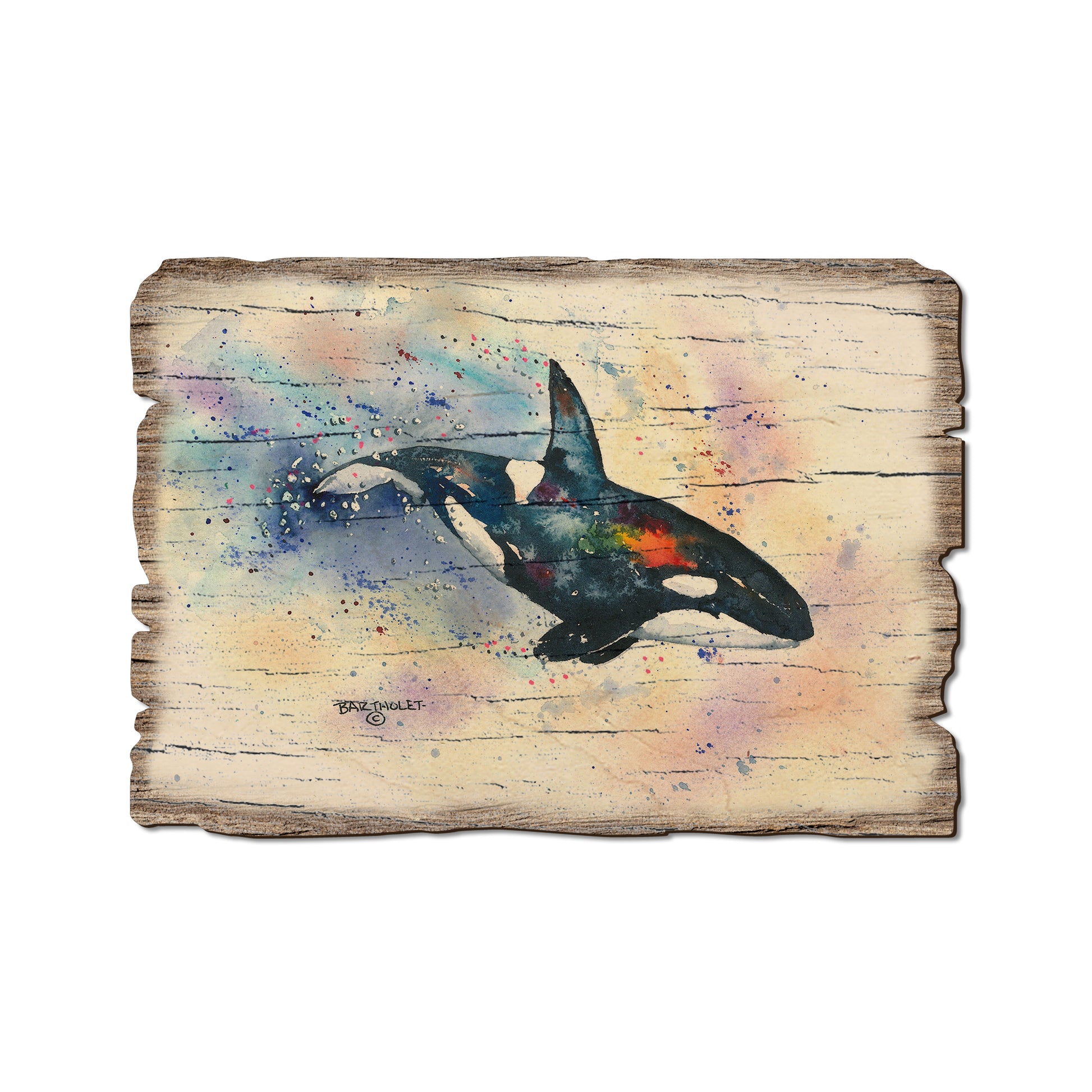 Bartholet's Orca - Rustic Edge Postcards & Magnets Rustic Edge Postcard (5pk // $2.80ea)