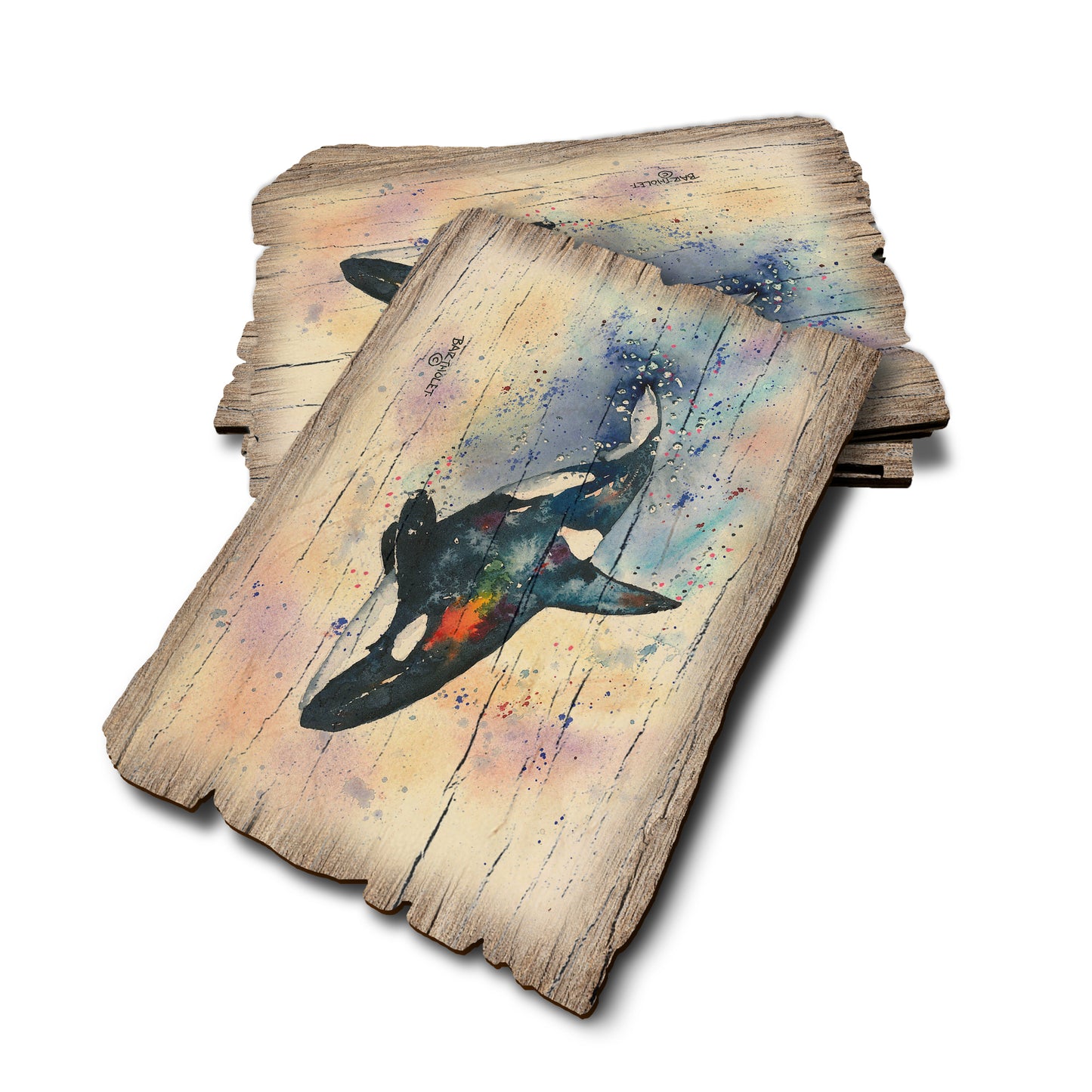 Bartholet's Orca - Weathered Edge Rustic Edge Postcard (5pk // $2.80ea)