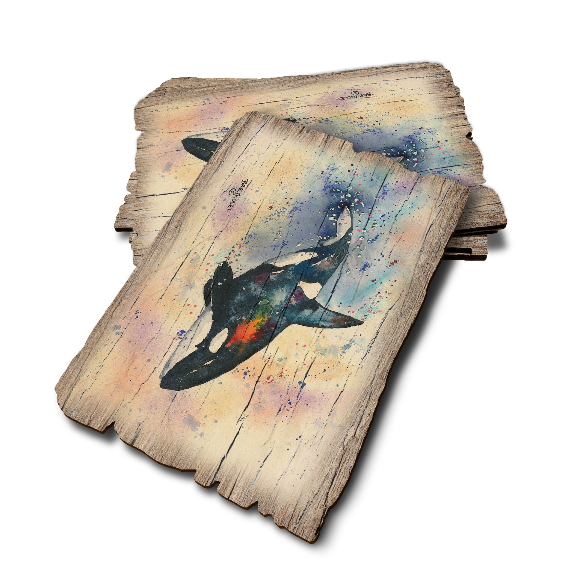 Bartholet's Orca - Weathered Edge Rustic Edge Postcard (5pk // $2.80ea)