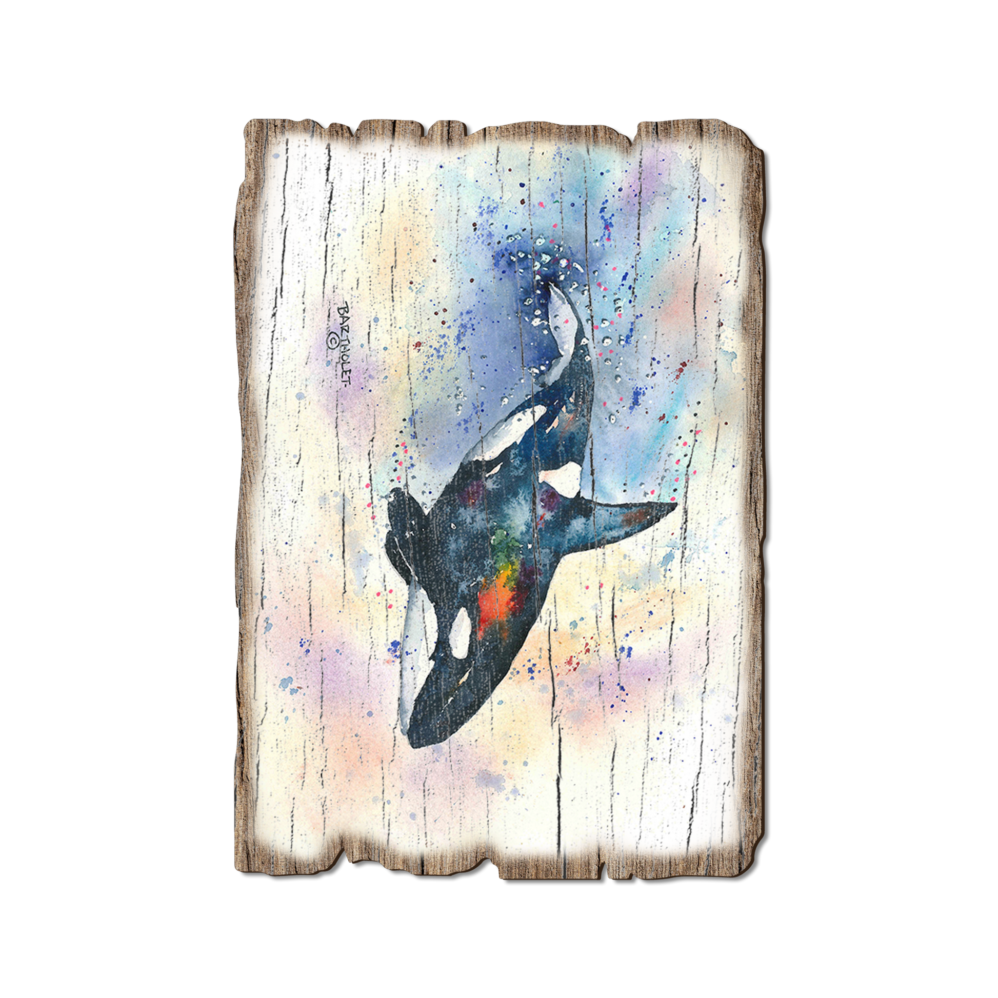 Postcard: Weathered Edge - Bartholet's Orca