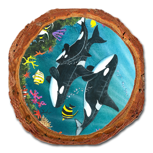 Coaster: Live Edge - Bartholet's Orca Joy