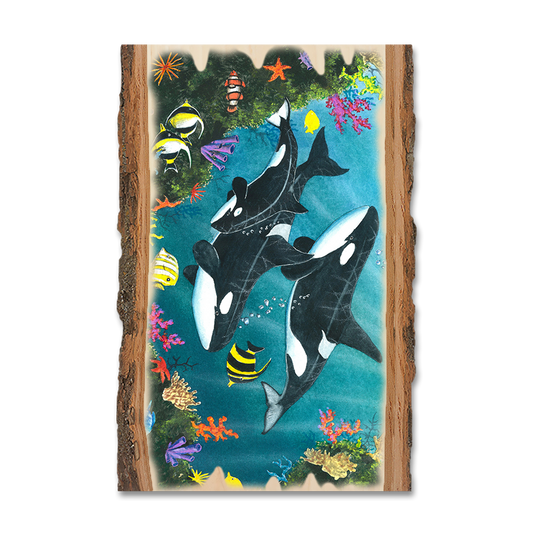 Magnet: Live Edge - Bartholet's Orca Joy