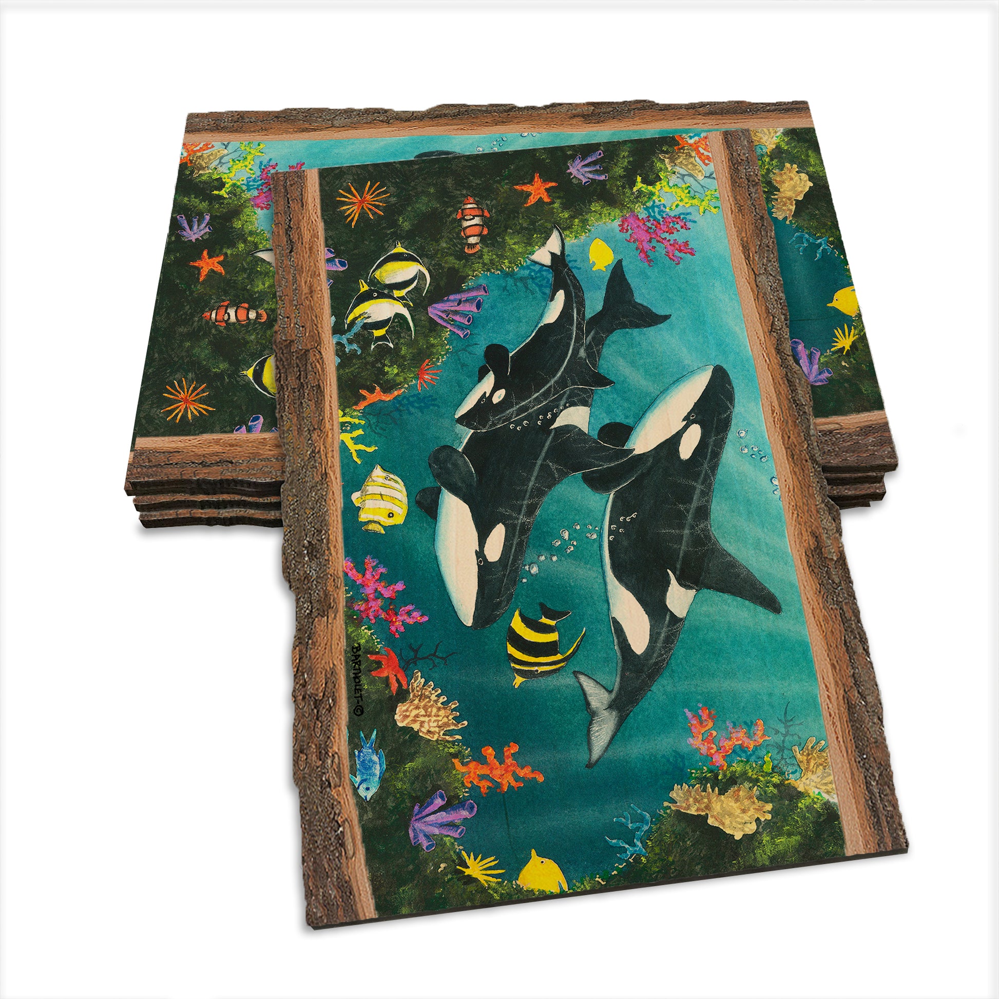 Bartholet's Orca Joy  - Live Edge Live Edge Postcard (5pk // $2.80ea)
