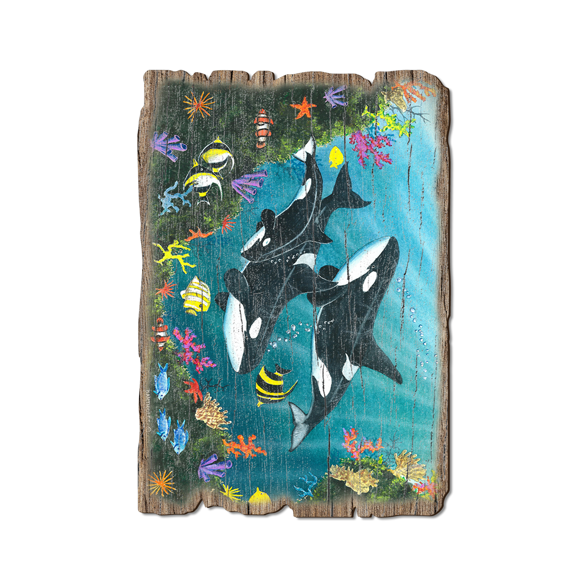 Postcard: Weathered Edge - Bartholet's Orca Joy