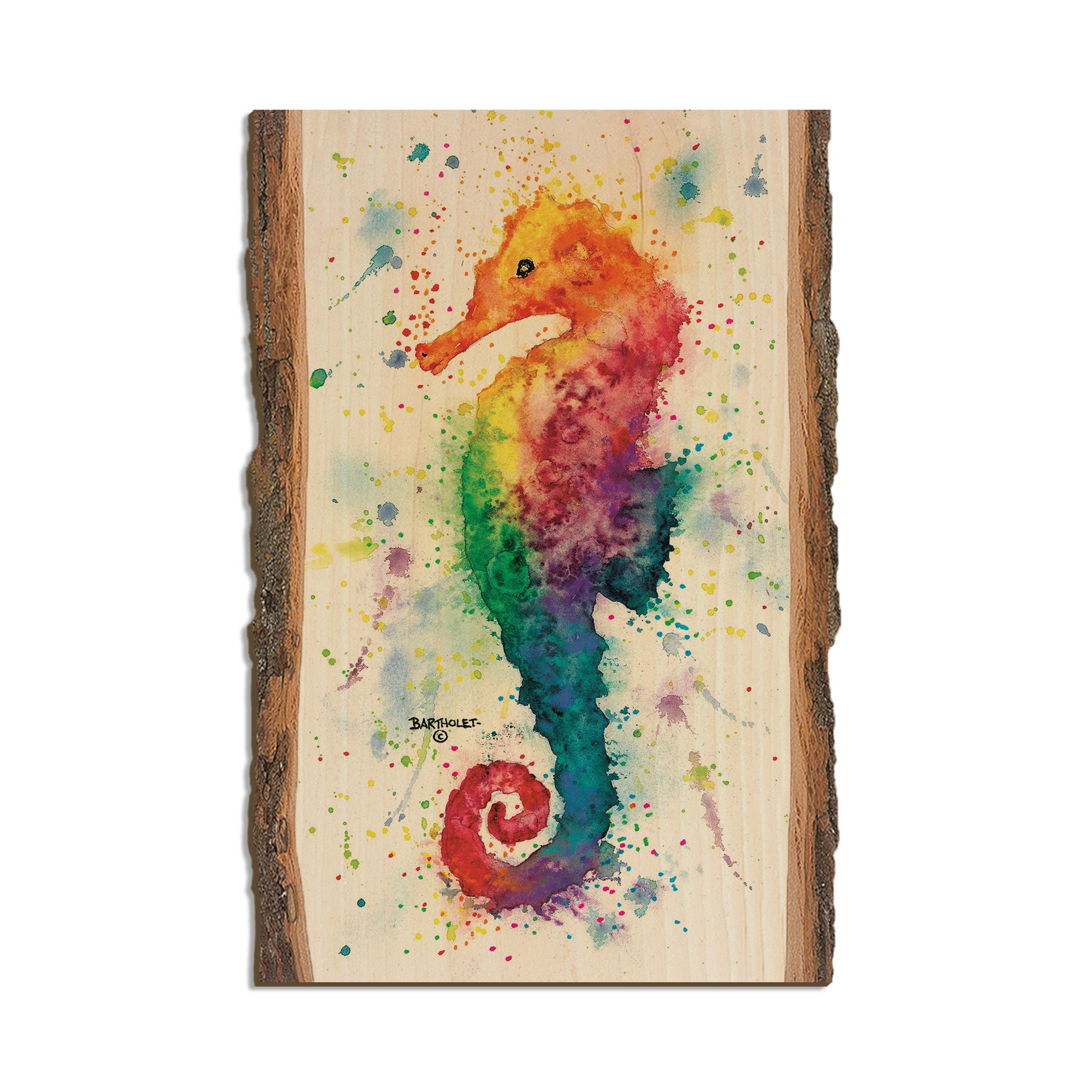 Bartholet's One Seahorse  - Live Edge Live Edge Postcard (5pk // $2.80ea)