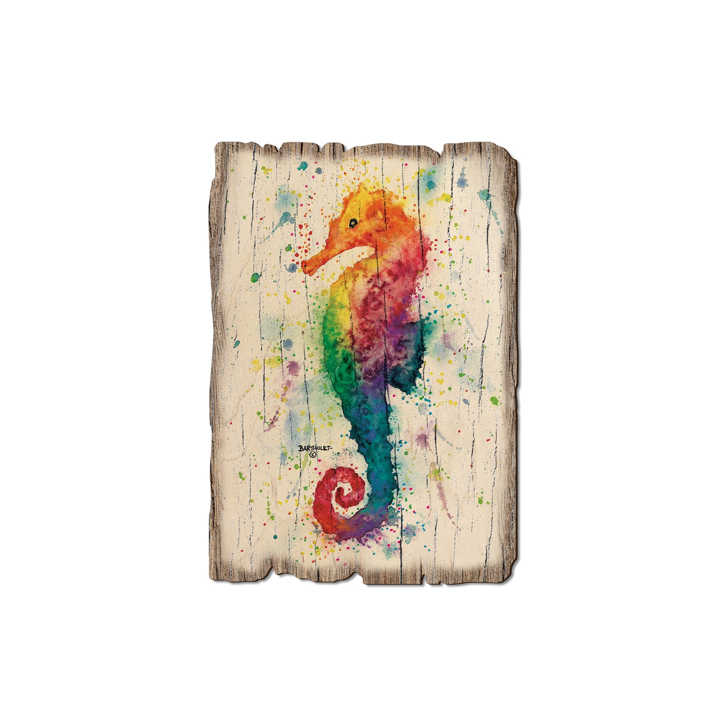 Bartholet's One Seahorse - Rustic Edge Postcards & Magnets Rustic Edge Magnet (5pk // $2.80ea)