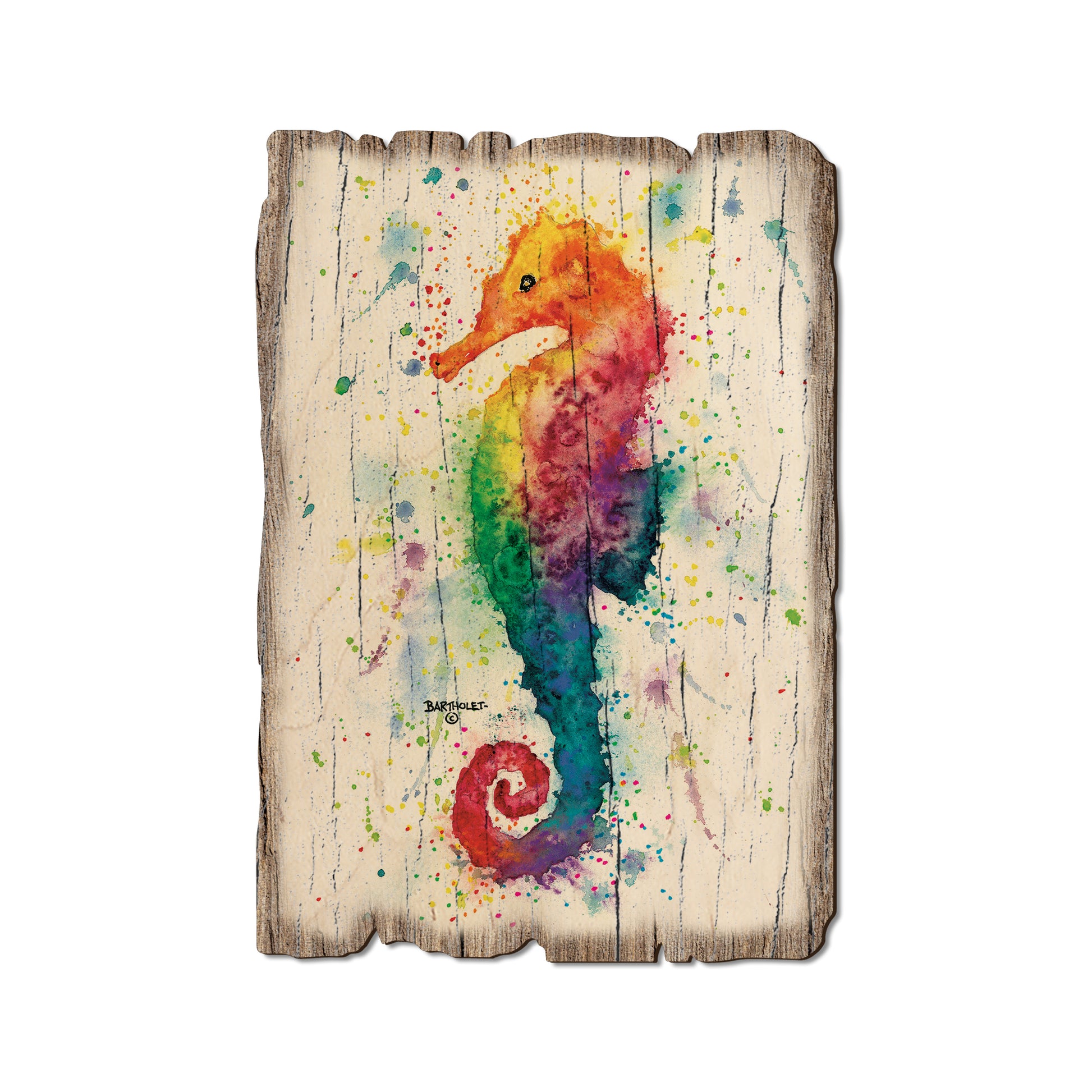 Bartholet's One Seahorse - Rustic Edge Postcards & Magnets Rustic Edge Postcard (5pk // $2.80ea)