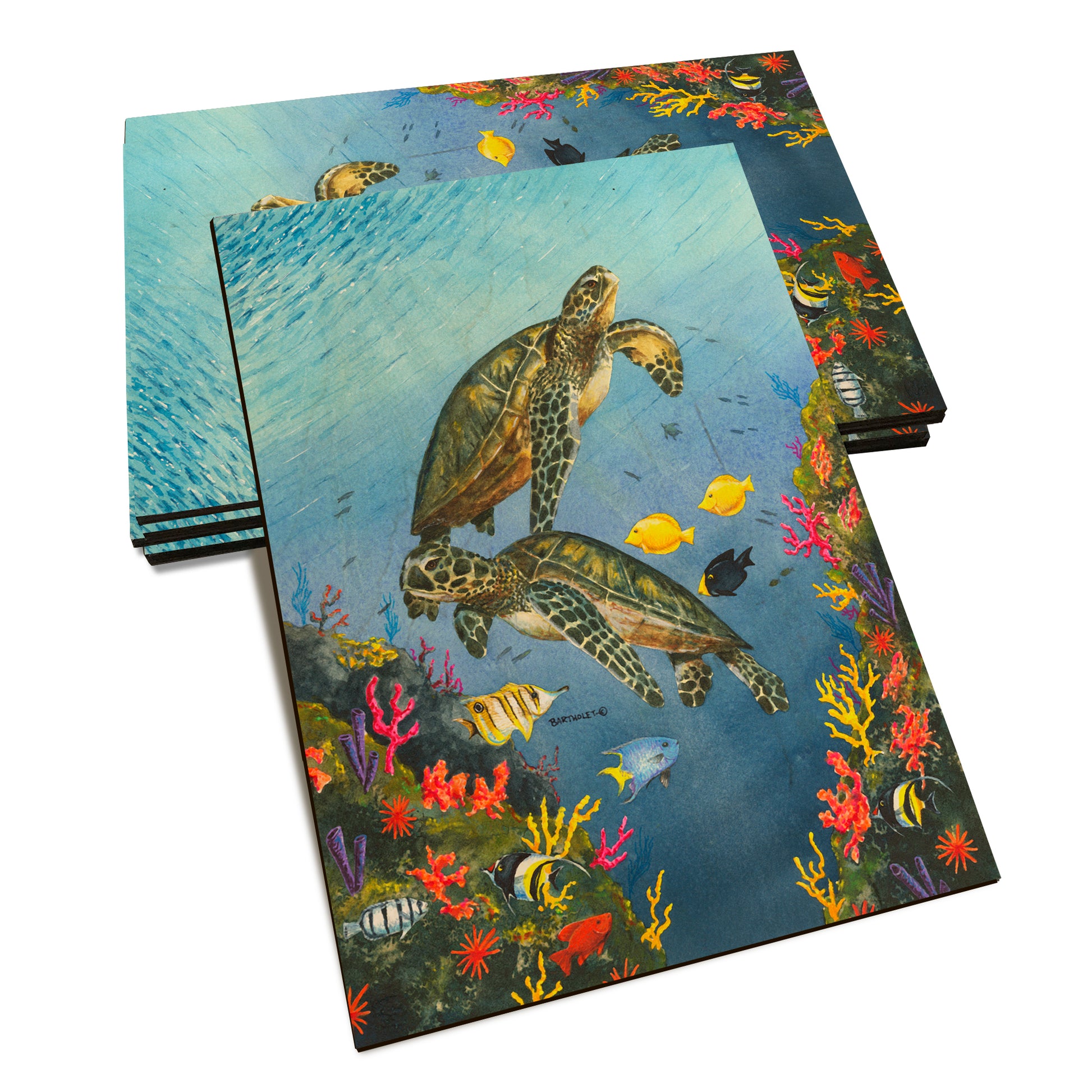 Bartholet's Paradise  - Classic Edge Classic Edge Postcard (5pk // $2.80ea)