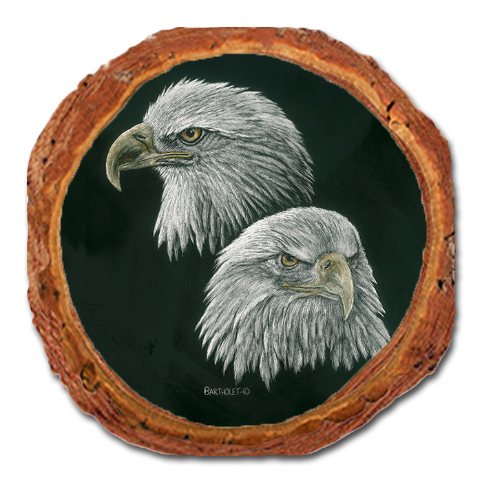Coaster: Live Edge - Bartholet's Power & More Power