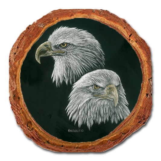 Coaster: Live Edge - Bartholet's Power & More Power