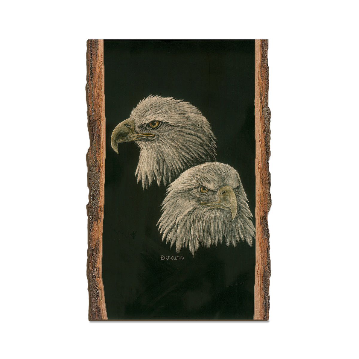 Bartholet's Power & More Power  - Live Edge Live Edge Magnet (5pk // $2.80ea)
