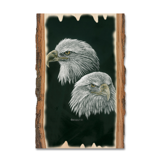 Magnet: Live Edge - Bartholet's Power & More Power