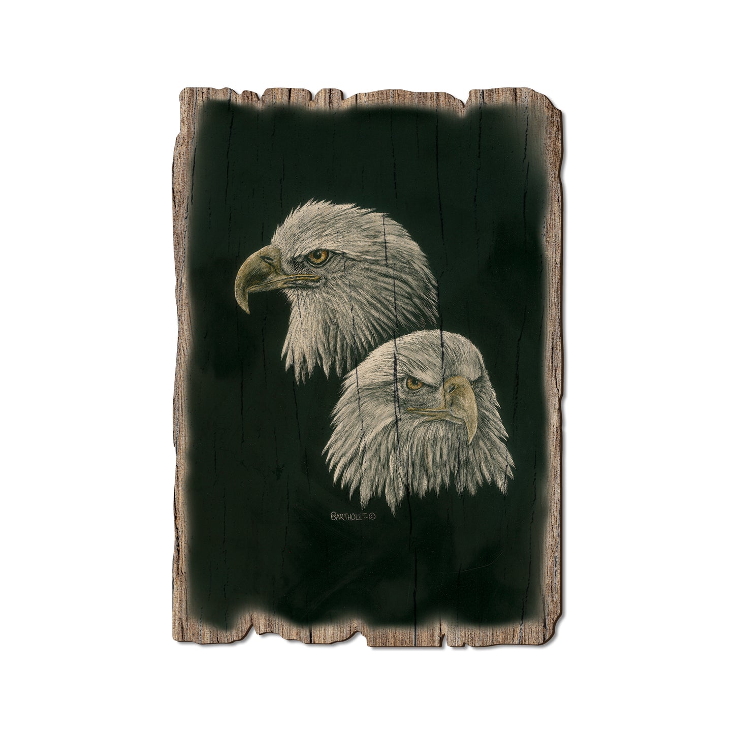 Bartholet's Power And More Power - Rustic Edge Postcards & Magnets Rustic Edge Postcard (5pk // $2.80ea)
