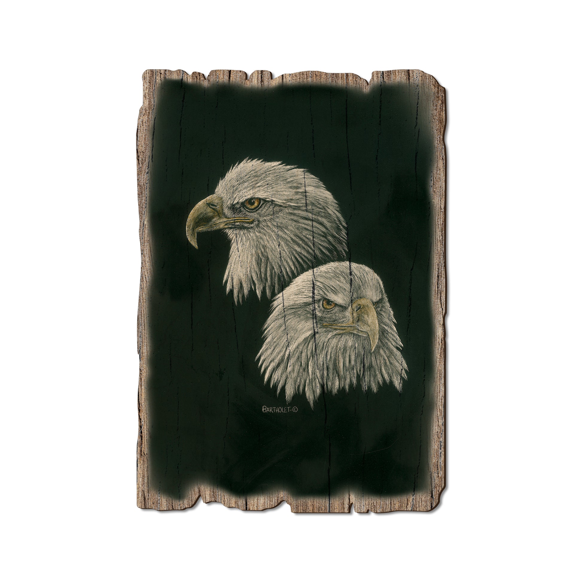 Bartholet's Power And More Power - Rustic Edge Postcards & Magnets Rustic Edge Postcard (5pk // $2.80ea)