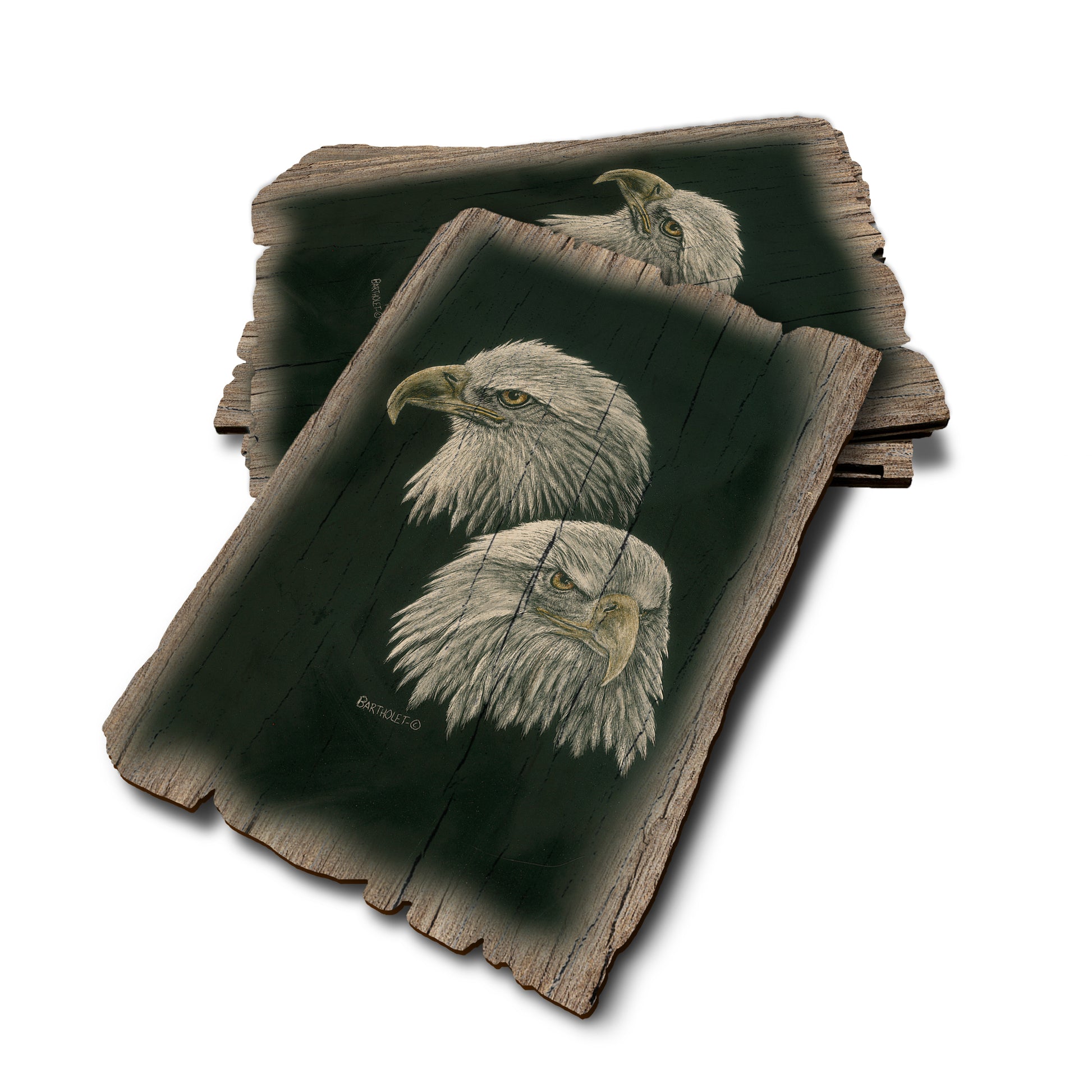 Bartholet's Power & More Power - Weathered Edge Rustic Edge Postcard (5pk // $2.80ea)