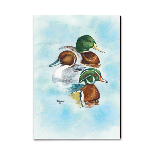 Magnet: Classic Edge - Bartholet's Puddle Duck Trio
