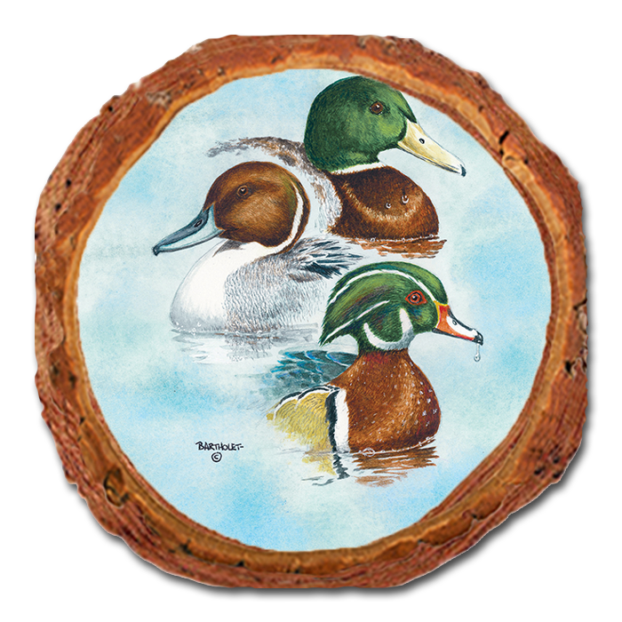 Coaster: Live Edge - Bartholet's Puddle Duck Trio