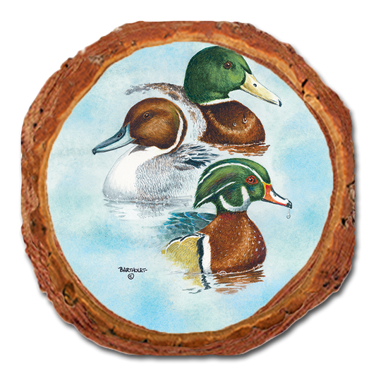 Coaster: Live Edge - Bartholet's Puddle Duck Trio