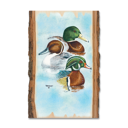 Greeting Card: Live Edge - Bartholet's Puddle Duck Trio
