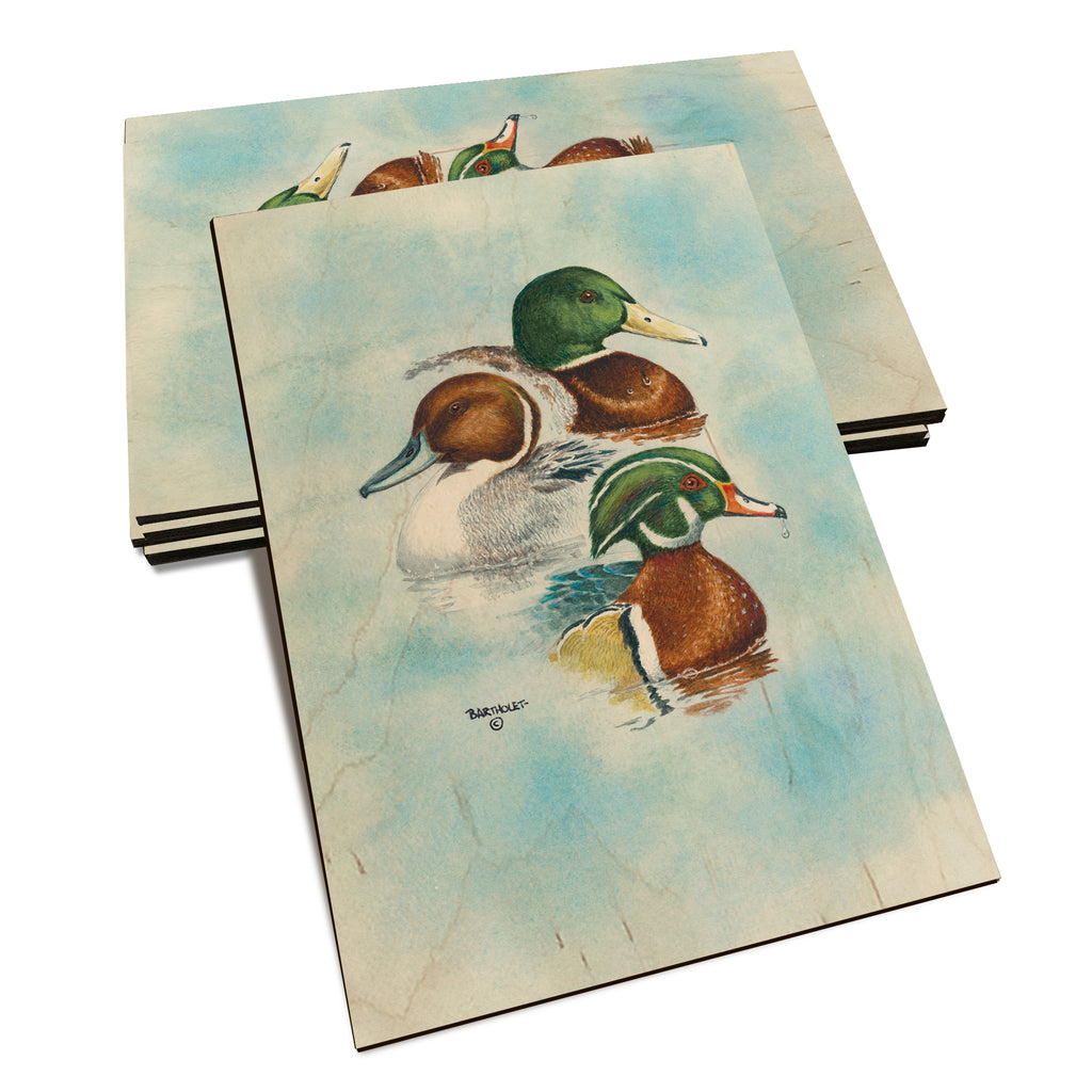 Bartholet's Puddle Duck Trio  - Classic Edge Classic Edge Postcard (5pk // $2.80ea)