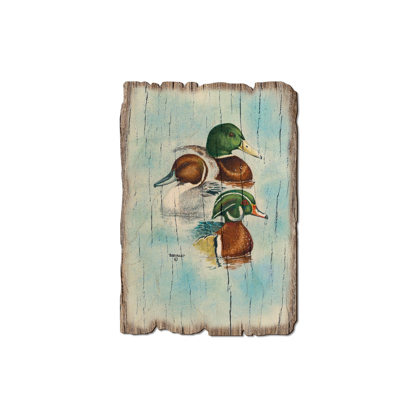 Bartholet's Puddle Duck Trio - Rustic Edge Postcards & Magnets Rustic Edge Magnet (5pk // $2.80ea)
