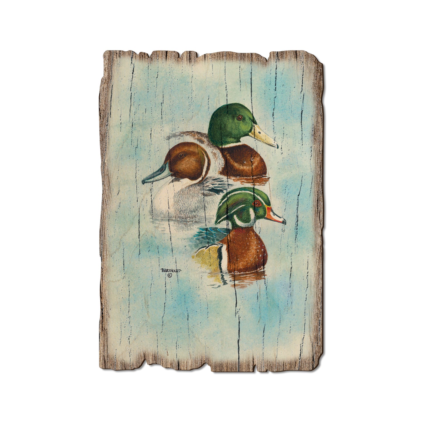Bartholet's Puddle Duck Trio - Rustic Edge Postcards & Magnets Rustic Edge Postcard (5pk // $2.80ea)